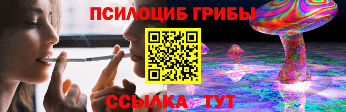 Энгельс  Псилоцибиновые грибы Cubensis  Вход с VPN 